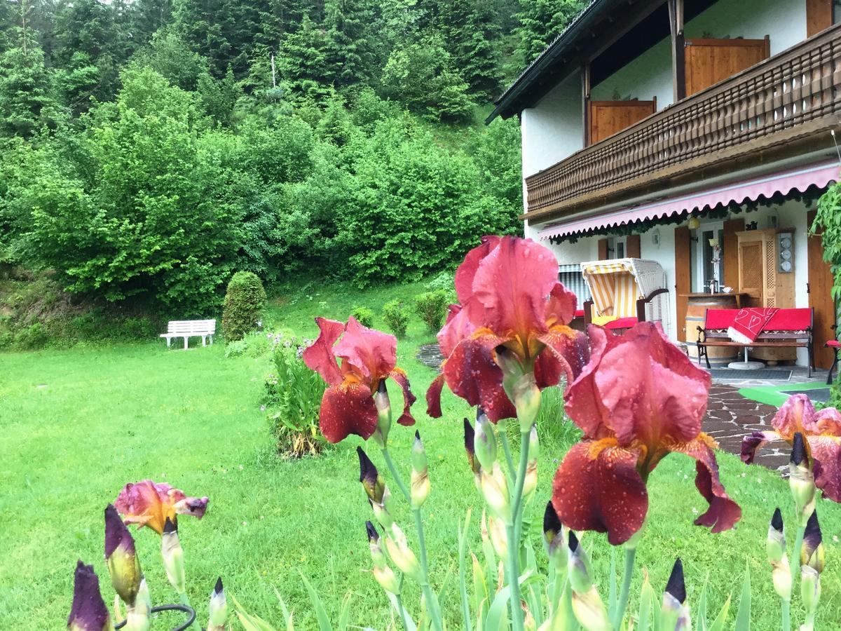 Baeckeralm - B&B 16 + Mittenwald Esterno foto